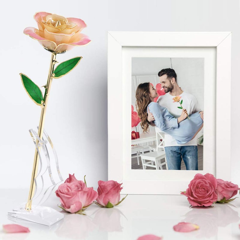 Ejoyous 24K Gold Rose, Forever Preserved Real Rose Lover Mom Wife Daughter Girl Friend, Unique Present on Mother's Day, Wedding Anniversary, Birthday, Proposal, Reward (White - Image 4